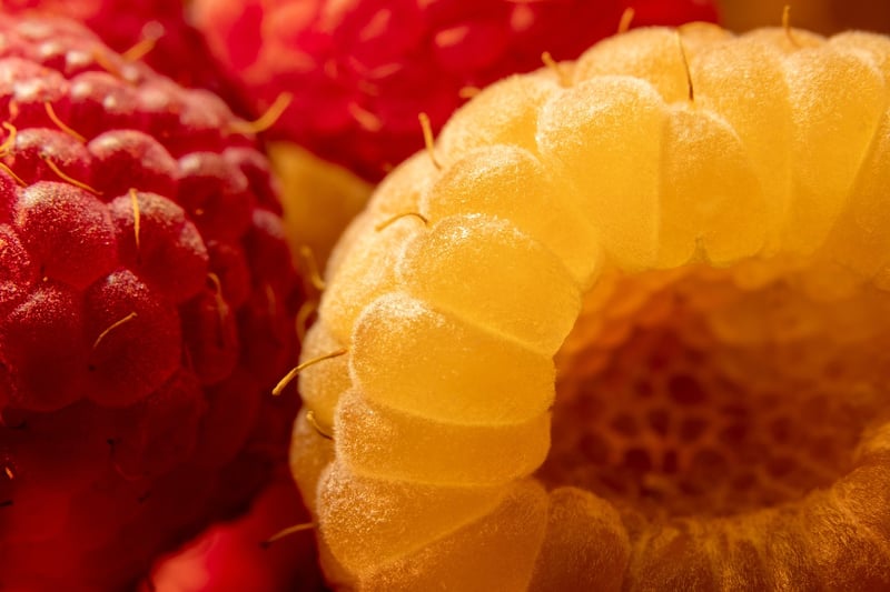 Fruit Tart